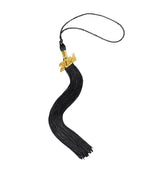 Shiny Graduation Cap and Gown with Tassel Charm Black