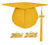Matte Graduation Cap and Gown with Tassel Charm Unisex Gold